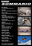 sommario